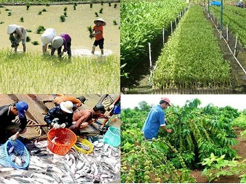 Tháng 2/2023: Ngành nông nghiệp có nhiều điểm sáng