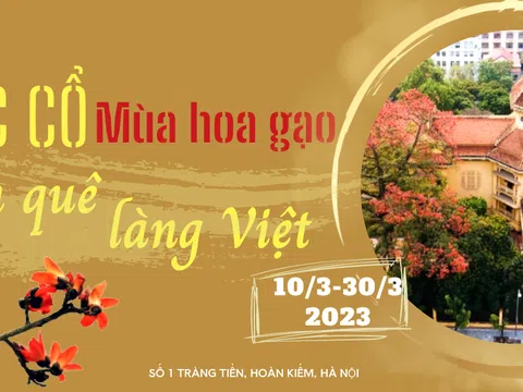 "Bác Cổ - Mùa hoa gạo”, hồn quê làng Việt trong không gian tinh tế giữa lòng Hà Nội