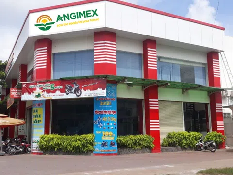 Angimex – đơn vị mạnh trong nông nghiệp có “biến động” lớn về nhân sự
