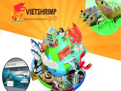 VietShrimp 2023 – Nâng tầm chuỗi giá trị ngành tôm