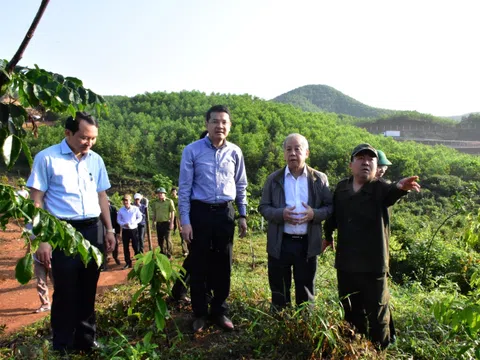 Thừa Thiên Huế: Nâng cao hiệu quả hợp tác xã lâm nghiệp bền vững