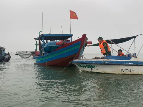 Nghệ An: Bắt giữ, xử lý 5 tàu cá vi phạm trong lĩnh vực thủy sản