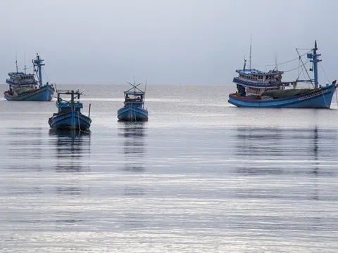 Đầu năm 2023 đến nay, Bến Tre không có tàu cá vi phạm vùng biển nước ngoài