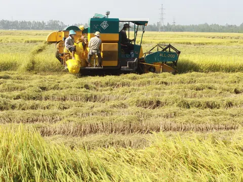 An Giang: Nâng cao năng lực sản xuất nông nghiệp và tiêu thụ sản phẩm