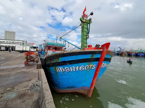 Bình Định: Ngăn chặn, chấm dứt tình trạng tàu cá, ngư dân vi phạm khai thác hải sản trái phép ở vùng biển nước ngoài và không để tái diễn ở các năm tiếp theo