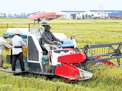 Quảng Bình: Chiến lược phát triển khoa học, công nghệ và đổi mới sáng tạo ngành Nông nghiệp đến năm 2030, tầm nhìn đến năm 2050