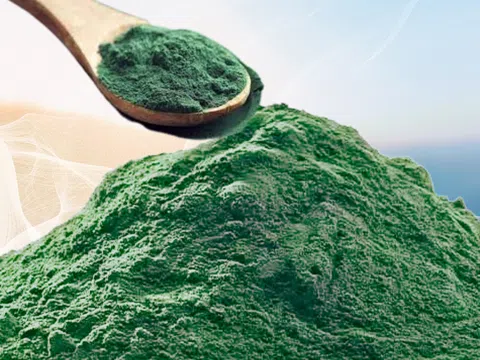 Nghiên cứu hoàn thiện công nghệ nuôi tảo Spirulina nước lợ và sản xuất một số sản phẩm thực phẩm chức năng từ sinh khối tảo này tại Thanh Hóa