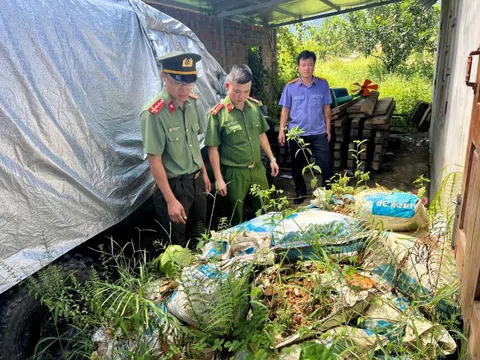 Bắt 2 đối tượng khai thác tài nguyên trái phép ở huyện miền núi Thừa Thiên Huế