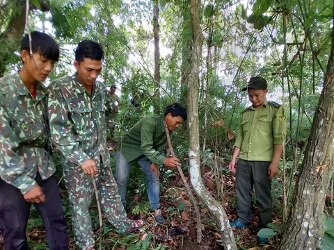 Ra mắt “Tổ Cộng đồng tuần tra bảo vệ rừng”