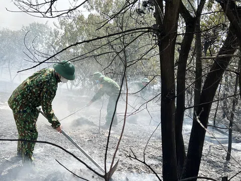 Đám cháy 7,5 hecta rừng phòng hộ tại Thừa Thiên Huế đã cơ bản được dập tắt