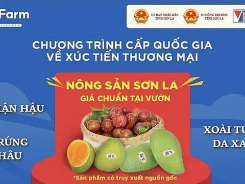 Nông sản Sơn La được ưa chuộng trên sàn thương mại điện tử