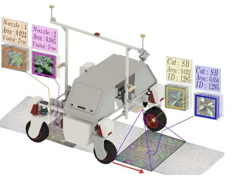 Hệ thống robot kiểm soát cỏ dại và theo dõi cây trồng