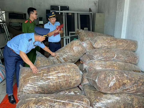 Cao Bằng: Thu giữ 550kg nguyên liệu thuốc lá không rõ nguồn gốc xuất xứ