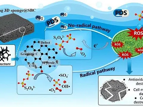 Xốp nổi xử lý tảo nở hoa gây hại