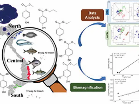 Đánh giá nguy cơ phơi nhiễm parabens trong mạng lưới hải sản Việt Nam