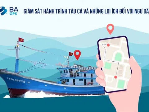 23/11/2023 – Hội thảo “Hướng dẫn tổ chức triển khai thực hiện hệ thống truy xuất nguồn gốc thủy sản khai thác điện tử” và “Chia sẻ kinh nghiệm triển khai vận hành hệ thống giám sát tàu cá”