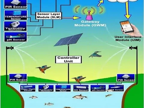 IoT giám sát chất lượng nước và kiểm soát chim trong nuôi trồng thủy sản