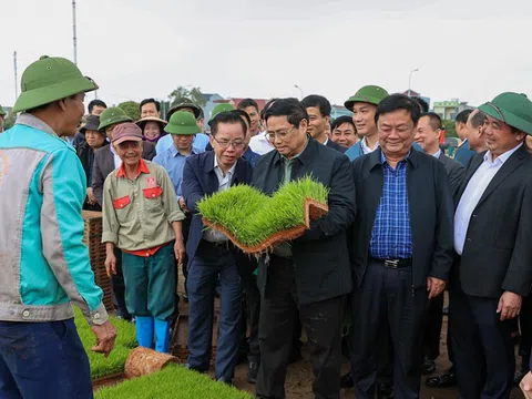 Thủ tướng xuống đồng cấy hái cùng nông dân, động viên sản xuất nông nghiệp