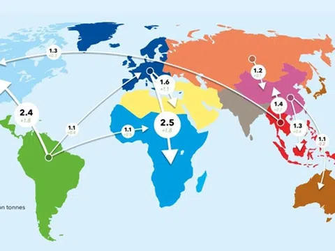 Thị trường hải sản toàn cầu vào năm 2050 sẽ ra sao?