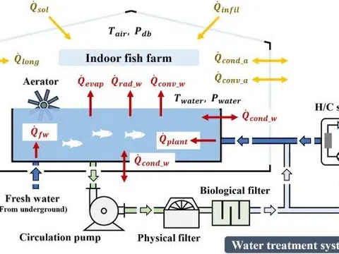 Xây dựng trang trại cá thông minh dự đoán chính xác mức sử dụng năng lượng và chi phí đầu tư ngay từ ban đầu