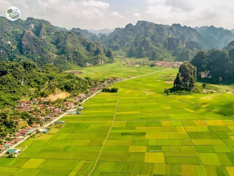 Lạng Sơn: Ưu tiên thúc đẩy phát triển một số chuỗi sản phẩm nông nghiệp đặc trưng, đặc hữu, chất lượng cao theo chuỗi giá trị