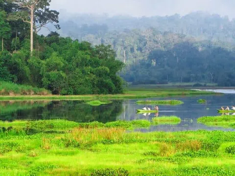 7 nhiệm vụ, giải pháp trọng tâm nhằm tăng cường công tác quản lý, bảo vệ và phát triển rừng