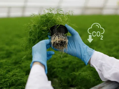 Ủy ban chuyên gia Đan Mạch đề xuất thuế phát thải CO2 cho nông nghiệp