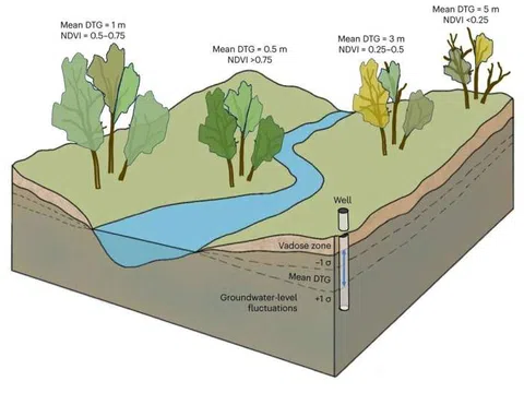Vai trò của nước ngầm đối với hệ sinh thái bền vững