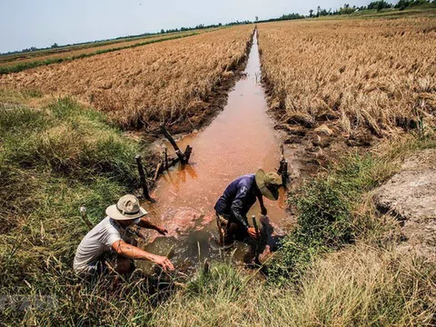 Tăng cường phòng, chống nắng nóng, hạn hán, xâm nhập mặn