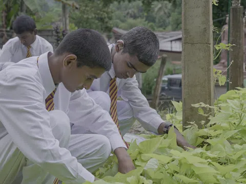 Mô hình "Vườn trường doanh nhân" ở Sri Lanka