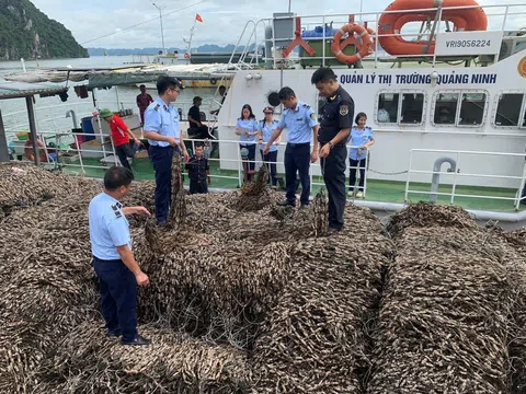 Quảng Ninh: Lực lượng chức năng bắt giữ 63 tấn hàu giống không rõ nguồn gốc xuất xứ