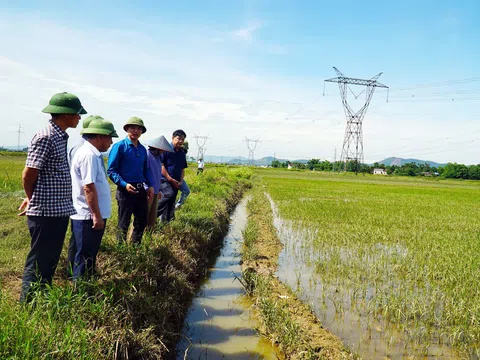 Nghệ An: Hơn 5.540 ha lúa và hoa màu bị thiệt hại do mưa lớn