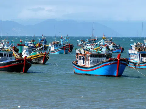 Quyết tâm cao gỡ cảnh báo "Thẻ vàng" IUU