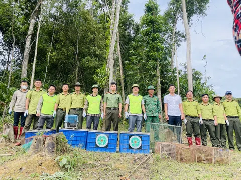 Tái thả 36 cá thể động vật hoang dã về môi trường tự nhiên ở Vườn Quốc gia Vũ Quang