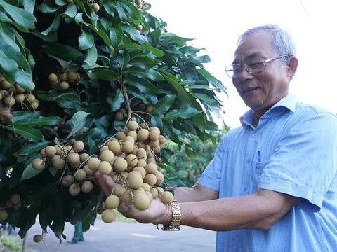 Công nhận huyện Châu Thành (Đồng Tháp) đạt chuẩn nông thôn mới