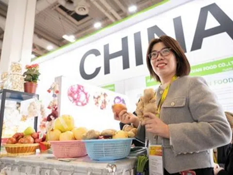 Fruit Logistica mở rộng khi nhu cầu của nhà triển lãm tăng lên