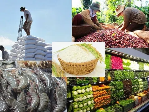 Báo cáo Triển vọng Nông nghiệp FAO-OECD 2024-2033: Các nền kinh tế mới nổi sẽ dẫn đầu thị trường