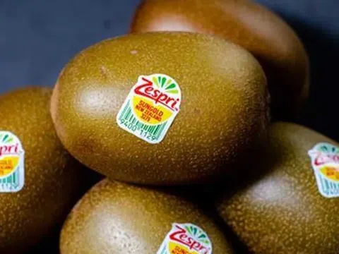 Zespri chuẩn bị cho "mùa cạnh tranh" sau khởi đầu ấn tượng