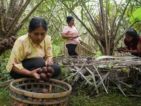 Bổ sung ba địa điểm mới vào Hệ thống Di sản Nông nghiệp Quan trọng Toàn cầu (GIAHS)