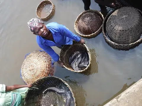 Dự án Thủy sản và Bình đẳng giới nhận được khoản tài trợ dài hạn