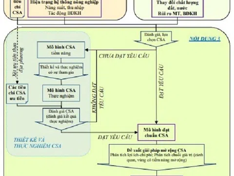 Nghiên cứu giải pháp phát triển mô hình nông nghiệp thông minh thích ứng với biến đổi khí hậu (CSA) vùng ven biển Đồng bằng sông Hồng