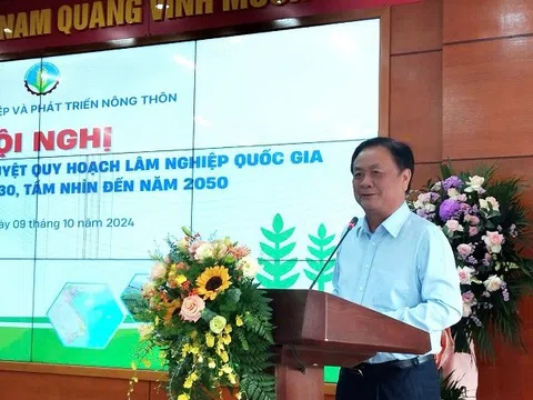 Công bố Quy hoạch lâm nghiệp quốc gia thời kỳ 2021-2030, tầm nhìn đến năm 2050