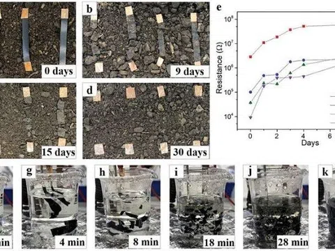 Phát triển màng nanocomposite từ tinh bột mở đường cho sản xuất thiết bị điện tử xanh