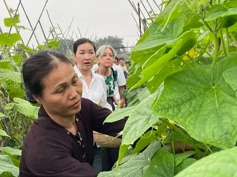 Đồng hành cùng nông dân Việt Nam trong giai đoạn mới