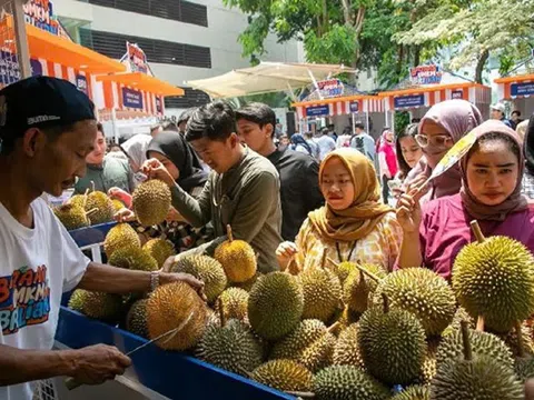 Sầu riêng Indonesia “tìm đường” sang Trung Quốc vào năm 2025