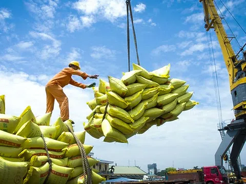 Quy định mới về kinh doanh xuất khẩu gạo