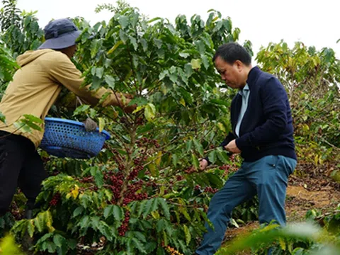 Phúc Sinh: Hành trình gắn kết giữa thiên nhiên, con người và trách nhiệm