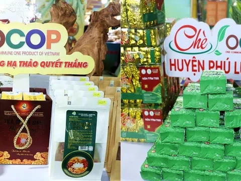 Việt Nam sắp đón 14 Bộ trưởng châu Phi đến tìm hiểu chương trình OCOP