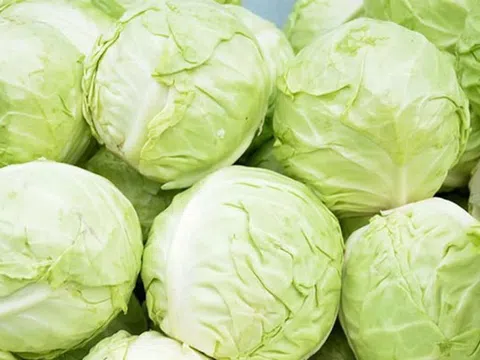 Giá bắp cải Ucraina giảm 10%