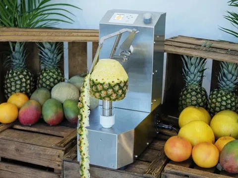Giới thiệu máy gọt vỏ KA-750PM